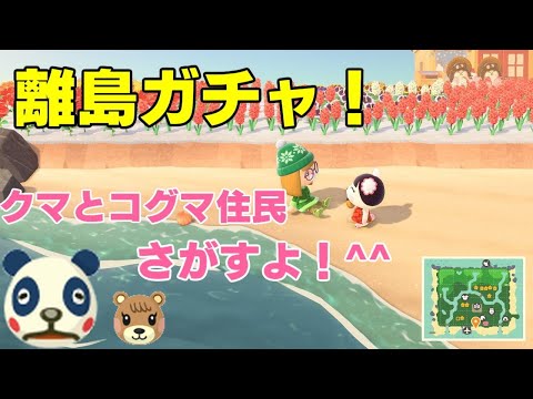 あそくら家の巣🐼🐻✨【◇6】あつまれどうぶつの森 を配信します！！【離島ガチャ】