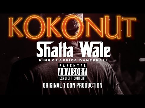 Shatta Wale -  Kokonut (Official Audio)