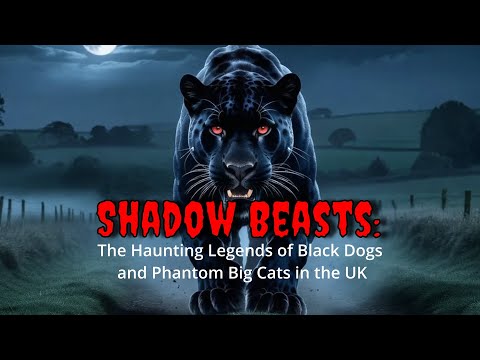 The Chilling Myths of Black Dogs and Ghostly Big Cats in the UK