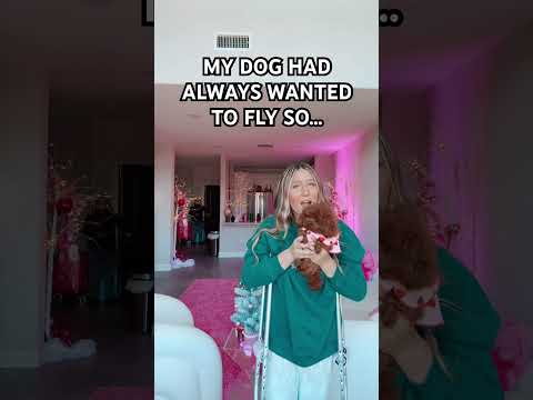 SHE FLEW!! #viralvideo #funny