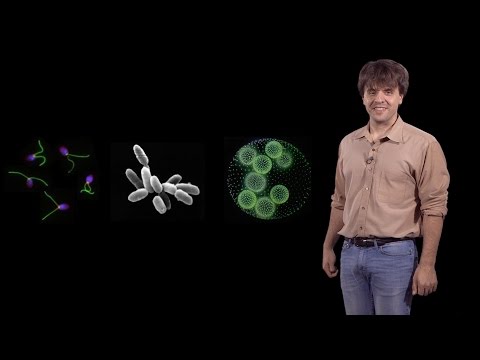 Karl Deisseroth (Stanford / HHMI): Development of Optogenetics