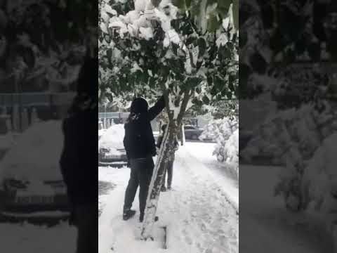 KAR YAĞMURU ❄️❄️❄️