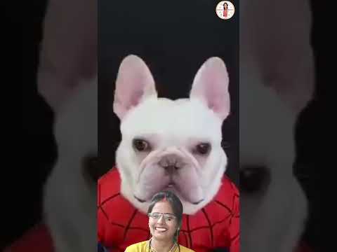 The animals Buu compilation#cutedog#reaction#comedyvideo#funny video#viralshort#jahnvireactz