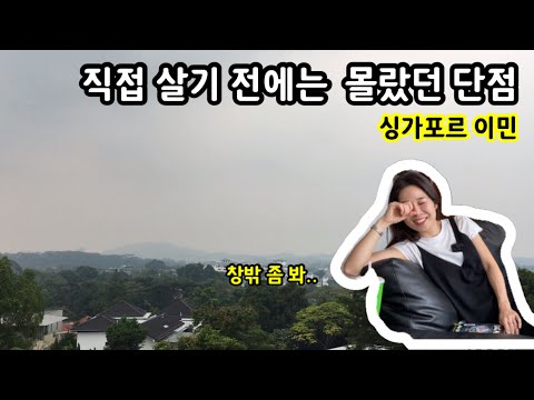 싱가포르에 살기 전에 몰랐던 단점 | 미세먼지 헤이즈 | 이민생활