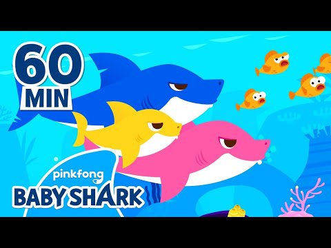 Baby Shark Nursery Rhymes