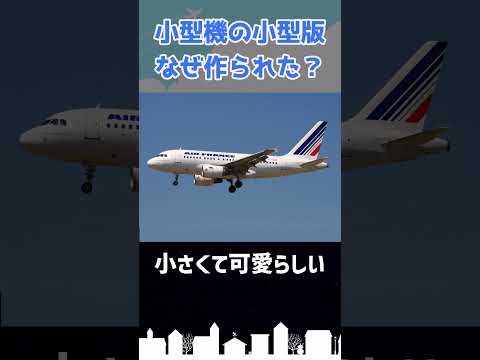 小型機を小型化した結果… #shorts