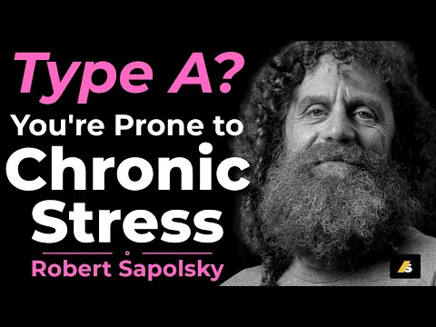 Why Chronic Stress Is Making You Sick #robertsapolsky #chronicstress #stressmanagement #mentalhealth