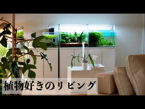 観葉植物好きのリビング【植え替え専用コーナー】