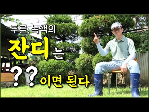 푸른 녹색의 잔디(마당)을 만드는 방법 중에 중요한 것 한가지는 이것입니다 / countryside, 시골브이로그, 시골집, 전원주택, 정원가꾸기