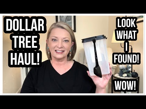 DOLLAR TREE HAUL | LOOK WHAT I FOUND | NEW | I LOVE THE DT😁 #haul #dollartree #dollartreehaul