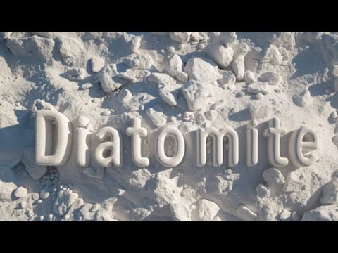 diatomite #diatomite#kieselgur#botany #trending #bsc