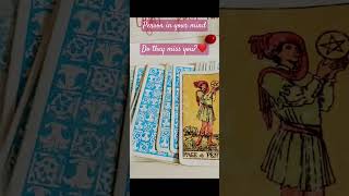 person in your mind 💕🌼💕 Do they miss you?😌🧿✨#tarot #shorts #trending #viralvideo #ytshorts #love