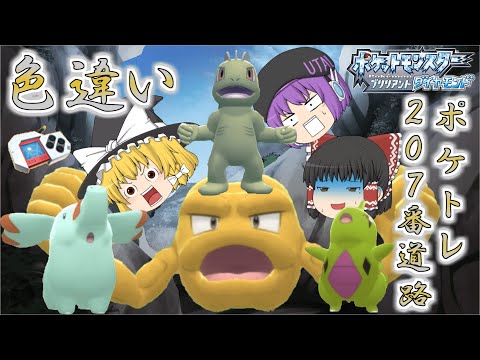 【ポケモンBDSP】ゴマゾウが大量発生したから色違い欲しい…じゃあついでに207番道路の色違いポケトレで全部ゲットしちゃお♡【ゆっくり実況】