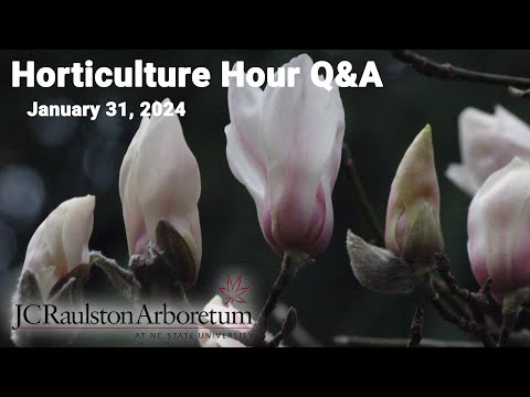 JCRA Horticulture Hour - January 31, 2024