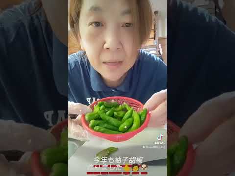 今年は柚子大量😍😍😍柚子胡椒作りました😁この時期しか作れません🫰🧑🐶