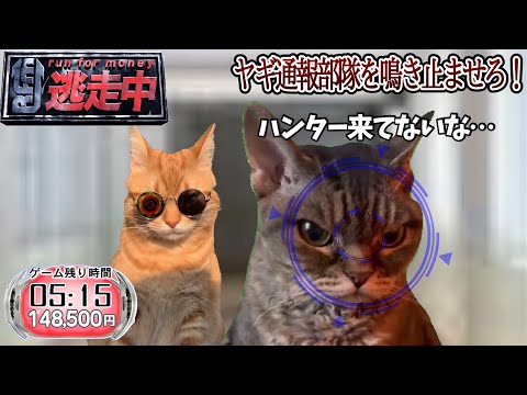 逃走中をすることになった猫たちの日常パート３【猫ミーム】【猫マニ】