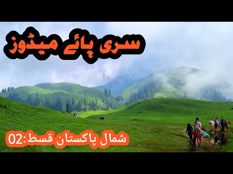 Siri Paye Meadow Shogran Valley || #foryou #travel #siripaye #nature #shogranvalley #pakistan