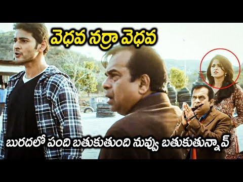 Khaleja Movie Mahesh Babu And Brahmanandam Scolding Comedy Scenes || Anushka Shetty || Matinee Show