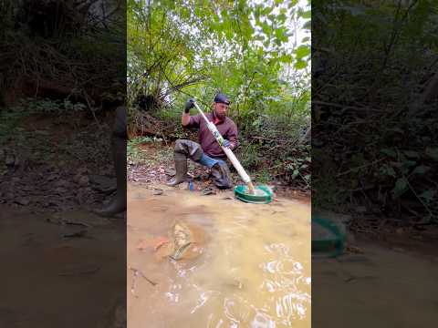 Breaking Bedrock For placer Gold! Gold Prospecting!