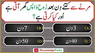 Best new Islamic Paheliyan | Top Viral Ismali Maloomati Sawal | Urdu best Islamic questions