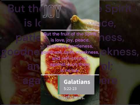 #galatians  #joy  #prayer #fruit #foryoupage #god