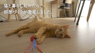 猫を飼い始めた結果、家具やインテリアが大変なことに…