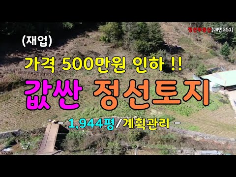 (재업) 가격 500만원 인하! 값싼 정선토지 계획관리 1,944평 / 정선토지박사