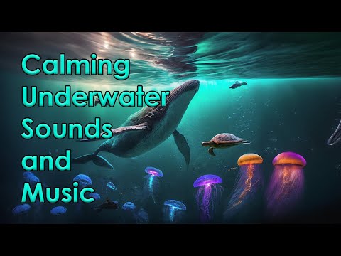 Calm Ocean music and sound to stop anxiety, overwhelm, and agitation. Helps ADHD, sensory overwhelm.