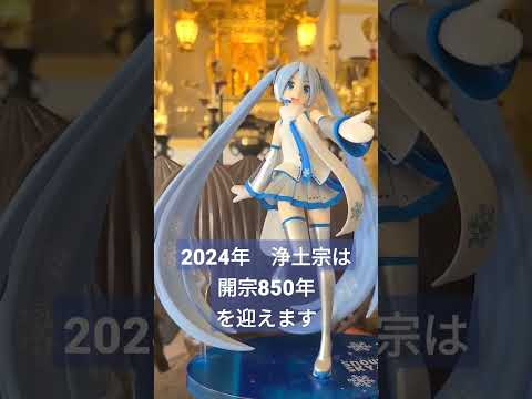 【ハワイ生活】2024年浄土宗は開宗850年を迎えます　＃知恩院へ行こう！#shorts #初音ミク #Snow Miku #ボカロ