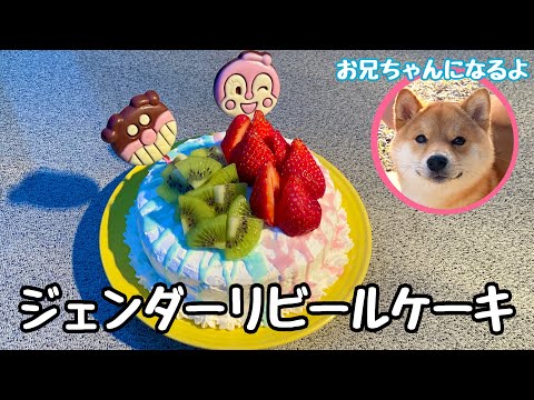 ジェンダーリビールケーキを作りました！