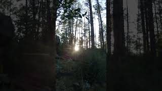 🌲🏞️Exploring Nature: A Scenic Hike from My Backyard in Prescott, AZ🌲🏞️