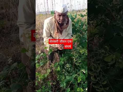 शेतकऱ्याची व्यथा😔#shorts #farmar #village #tranding #villagelife  #shetkri #aanapurespeech