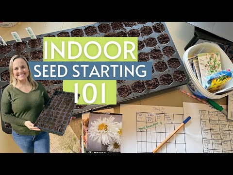 INDOOR SEED STARTING GUIDE FOR BEGINNERS | soil, trays, sowing, watering, lighting basics