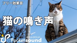 【フリー効果音】猫の鳴き声特集：ポケットサウンド【子猫/成猫】