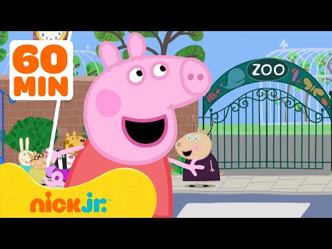 60 MINUTES of Peppa Pig Field Trips! 🚌 (Songs + Games) | Nick Jr.