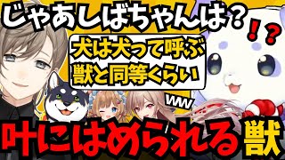 叶に”はめられて”しば先輩を下に見てる風にされるルンルン【ルンルン/切り抜き/にじさんじ】