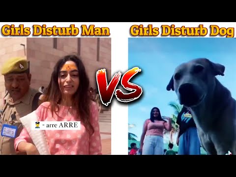 Girls Disturbing Man Vs Girls Disturbing Dog #indianmemes #memes