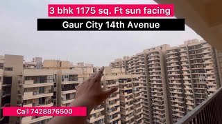 Gaur City 14th Avenue | 3 bhk 1175 sq.ft flat available for sale | #property #greaternoida