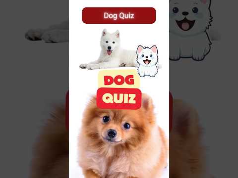 Dog Trivia Challenge 🐶 | How Well Do You Know Man’s Best Friend?