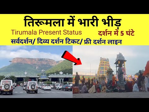 Heavy Rush In Tirumala Today | Present Situation | Sarvadarshan | Free Darshan | Tirupati Balaji