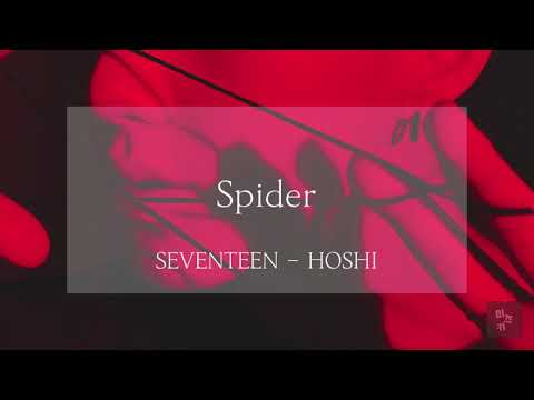 ☪︎ 日本語字幕/カナルビ ⋆°『 Spider 』호시 - SEVENTEEN(セブチ)