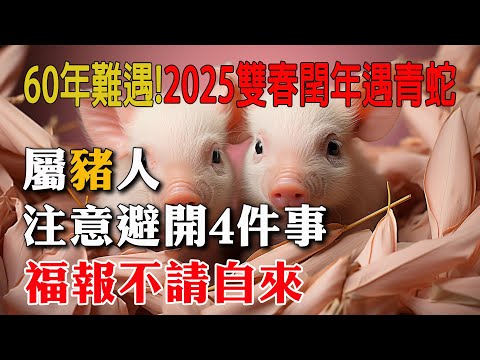 2025雙春閏年遇青蛇，60年豬遇！生肖豬注意不做4件事，福報會自己來找你！再忙也要看看！【佛語】#運勢 #風水 #佛教 #生肖 #佛語