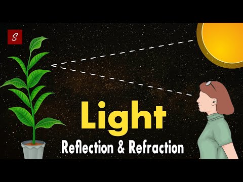 Light Reflection and Refraction Class 10 full chapter (Animation) |  Class 10 Science Chapter 10