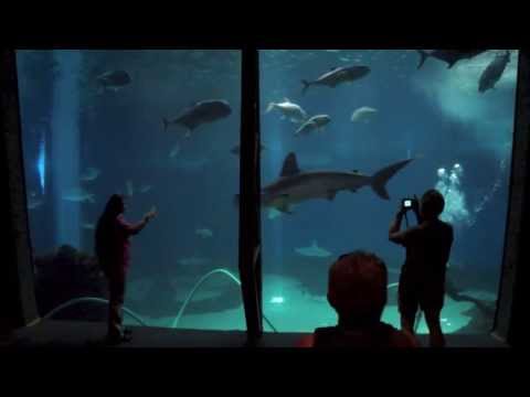 Maui Ocean Center in less than 90 seconds #seeMaui