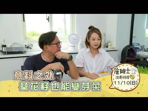 《精采預告》嘉義布袋｜意料之外 葵花籽也能變芽菜-第284集-2024/11/10