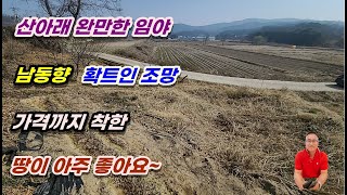 1-316[여주부동산][여주전원주택부지]산아래 작은 임야 , 확트인 조망, 남동향터,저렴한가격 (대신면부동산)