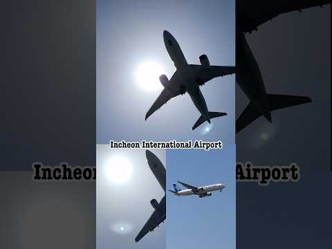 인천공항 비행기 착륙 직관 @오랜지듄스 영종  Incheon International Airport Air Plane landing @Orange Dunes CC