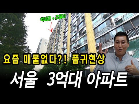 부동산 트렌드가 달라졌다?! 요즘 품귀현상의 서울 3억대 아파트 매물!  #자녀투자교육  #경매교육 #공매교육