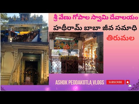 శ్రీ వేణు గోపాల స్వామి దేవాలయం | హథీరామ్ బాబా జీవ సమాధి | తిరుమల | ASHOK PEDDAKOTLA VLOGS |