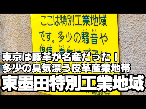 東京の名産は豚革！臭気漂う皮革産業地「東墨田特別工業地区」